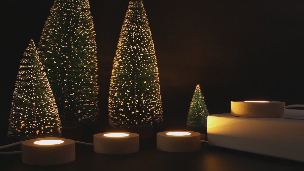 Enchanting Galaxy Bear Rose Night Light